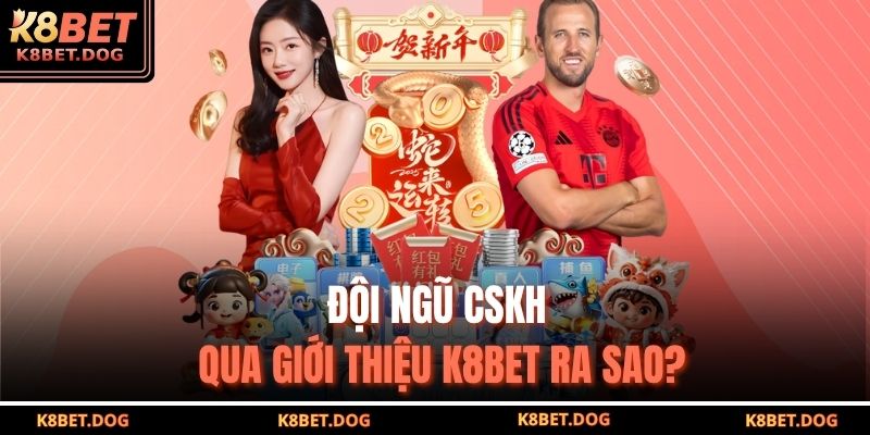Giới Thiệu K8BET 2 Đội ngũ CSKH qua giới thiệu K8BET ra sao?