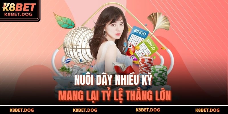 Nuôi dãy nhiều kỳ mang lại tỷ lệ thắng lớn