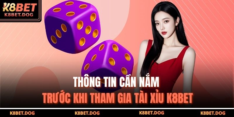 Thông tin cần nắm trước khi tham gia Tài Xỉu K8BET